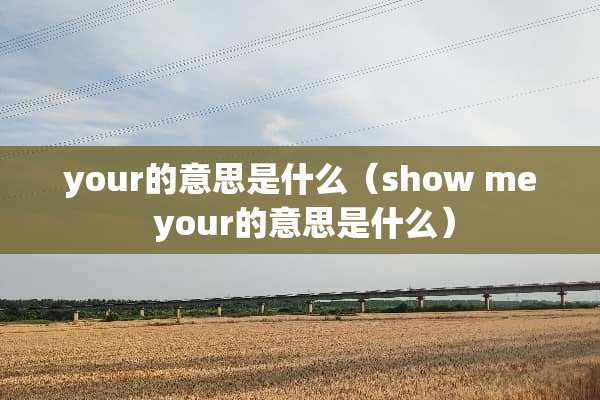your的意思是什么（show me your的意思是什么）