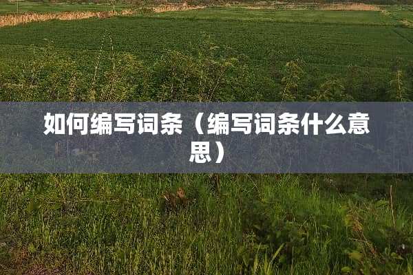 如何编写词条（编写词条什么意思）