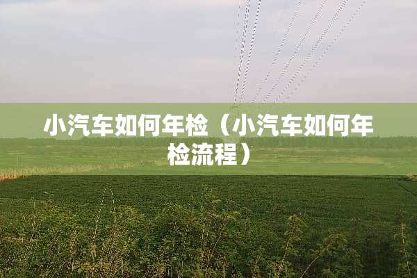 小汽车如何年检（小汽车如何年检流程）