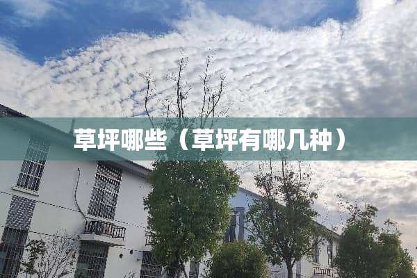 草坪哪些（草坪有哪几种）