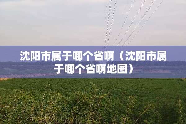 沈阳市属于哪个省啊（沈阳市属于哪个省啊地图）