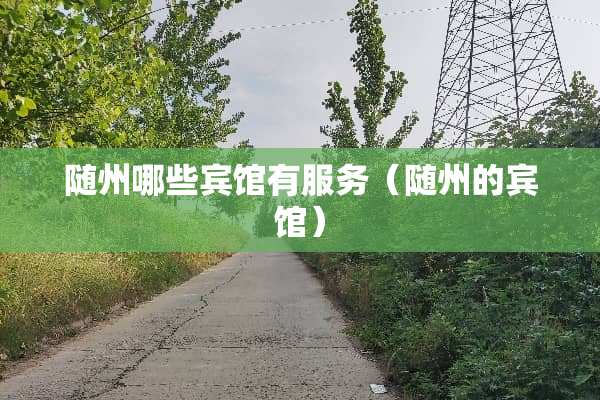 随州哪些宾馆有服务（随州的宾馆）