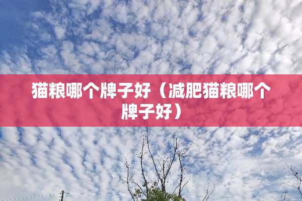 猫粮哪个牌子好（减肥猫粮哪个牌子好）