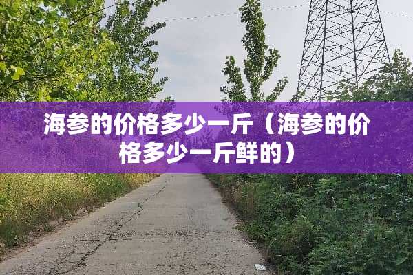 海参的价格多少一斤（海参的价格多少一斤鲜的）