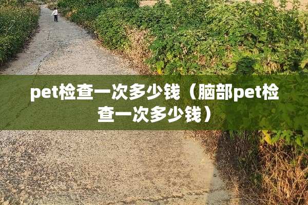 pet检查一次多少钱（脑部pet检查一次多少钱）