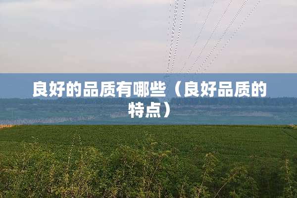 良好的品质有哪些（良好品质的特点）