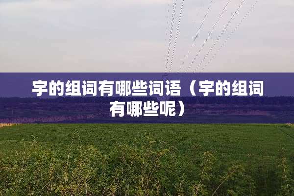 宇的组词有哪些词语（宇的组词有哪些呢）