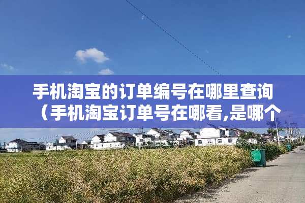 手机淘宝的订单编号在哪里查询（手机淘宝订单号在哪看,是哪个）