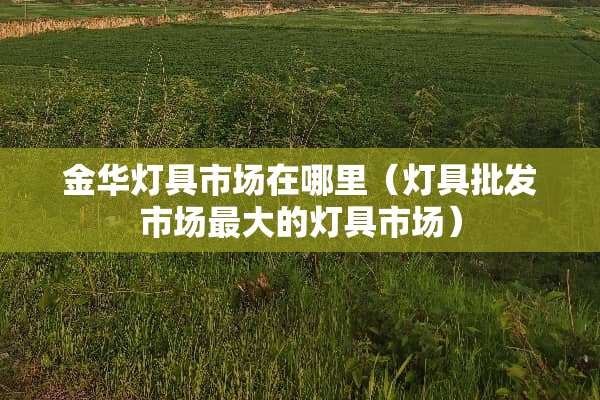 金华灯具市场在哪里（灯具批发市场最大的灯具市场）