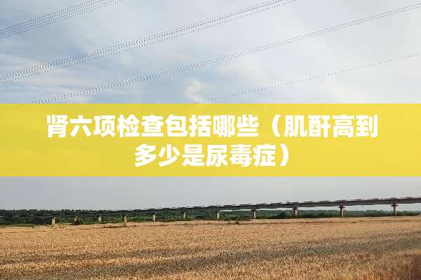 肾六项检查包括哪些（肌酐高到多少是尿毒症）