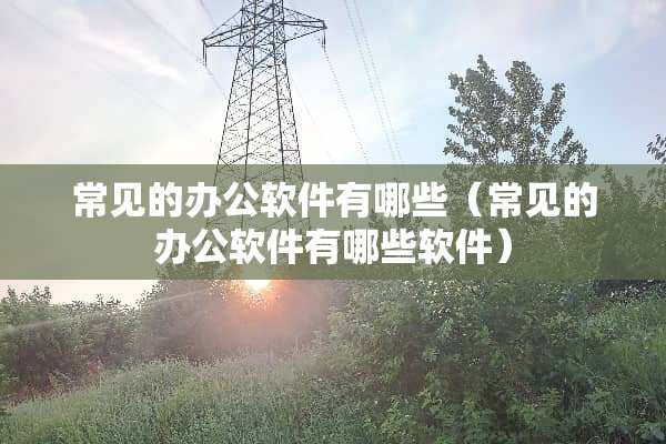 常见的办公软件有哪些（常见的办公软件有哪些软件）