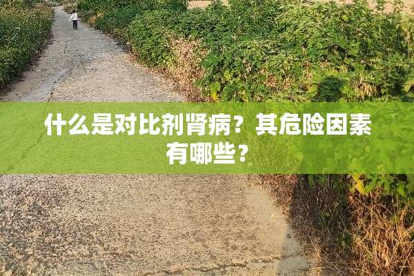什么是对比剂肾病？其危险因素有哪些？