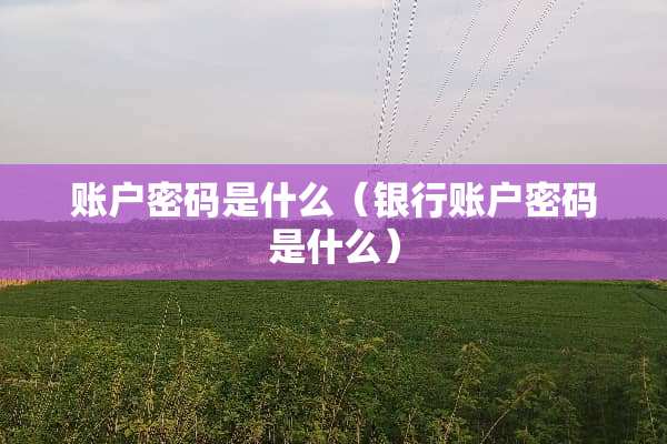 账户密码是什么（银行账户密码是什么）