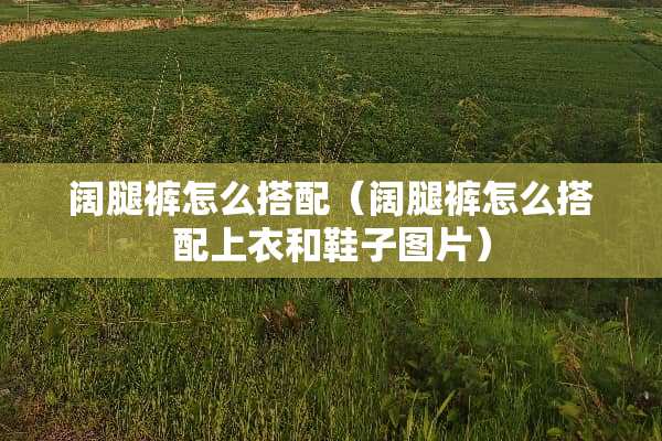 阔腿裤怎么搭配（阔腿裤怎么搭配上衣和鞋子图片）