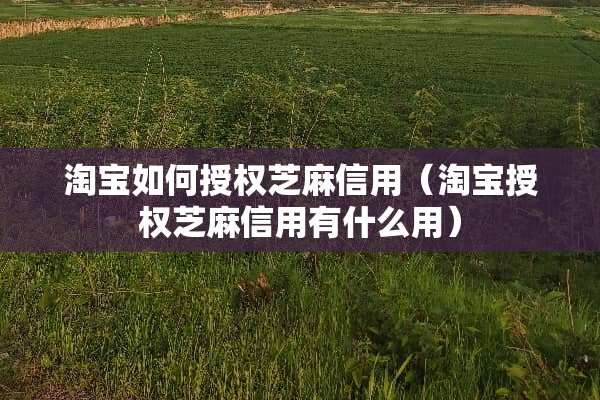 淘宝如何授权芝麻信用（淘宝授权芝麻信用有什么用）
