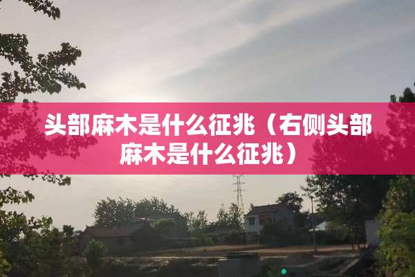 头部麻木是什么征兆（右侧头部麻木是什么征兆）