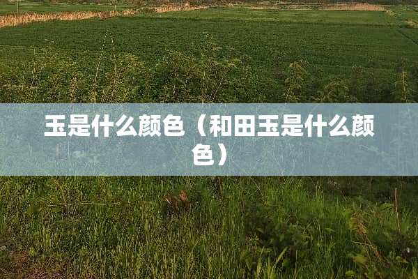 玉是什么颜色（和田玉是什么颜色）