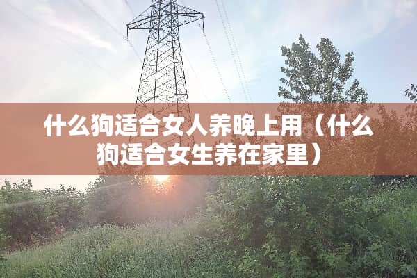 什么狗适合女人养晚上用（什么狗适合女生养在家里）