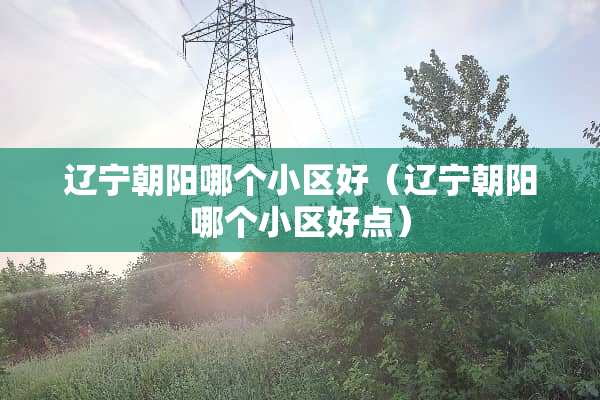 辽宁朝阳哪个小区好（辽宁朝阳哪个小区好点）