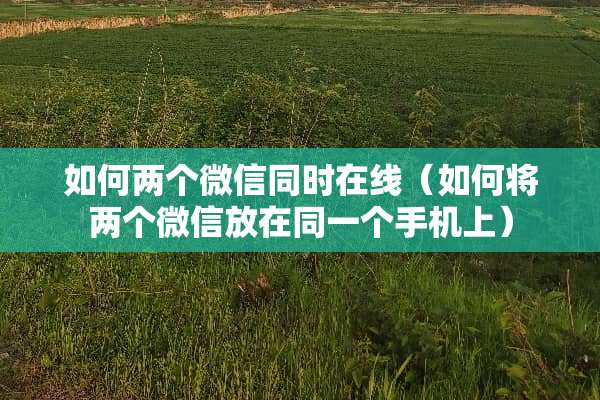 如何两个微信同时在线（如何将两个微信放在同一个手机上）