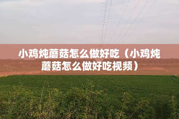 小鸡炖蘑菇怎么做好吃（小鸡炖蘑菇怎么做好吃视频）