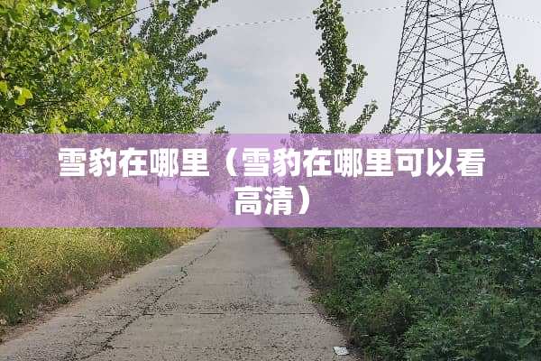 雪豹在哪里（雪豹在哪里可以看高清）