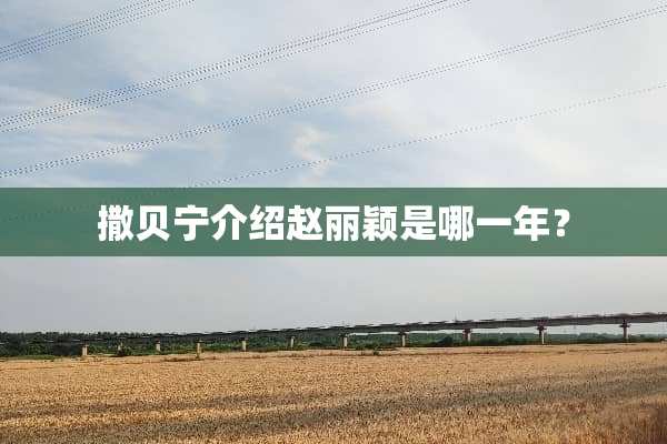 撒贝宁介绍赵丽颖是哪一年？