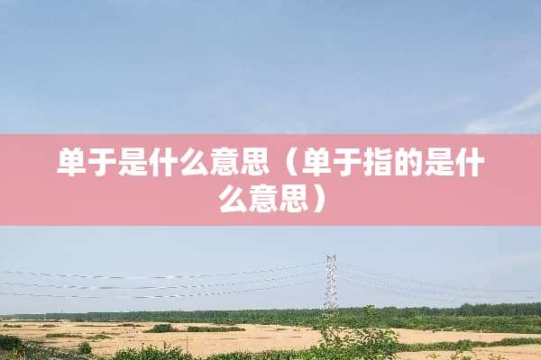 单于是什么意思（单于指的是什么意思）