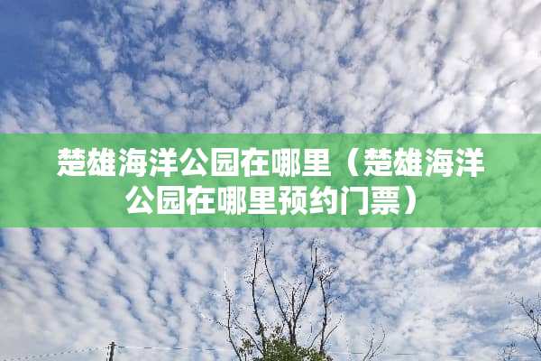 楚雄海洋公园在哪里（楚雄海洋公园在哪里预约门票）