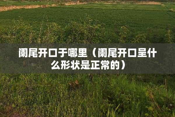 阑尾开口于哪里（阑尾开口呈什么形状是正常的）
