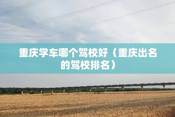 重庆学车哪个驾校好（重庆出名的驾校排名）