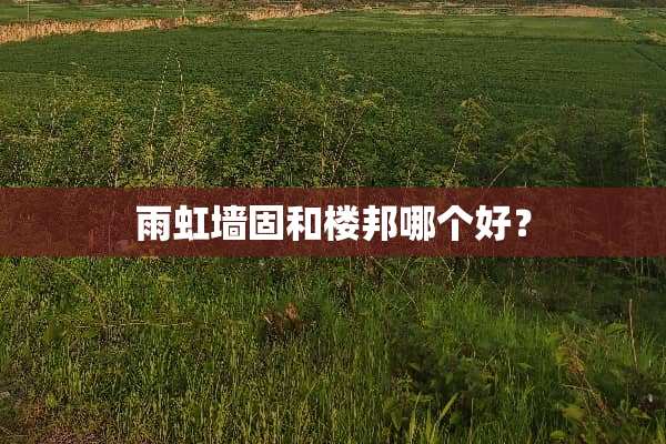 雨虹墙固和楼邦哪个好？