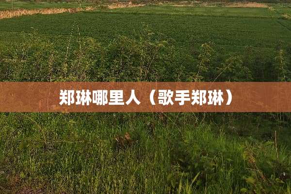 郑琳哪里人（歌手郑琳）