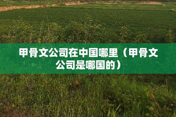 甲骨文公司在中国哪里（甲骨文公司是哪国的）