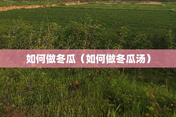 如何做冬瓜（如何做冬瓜汤）