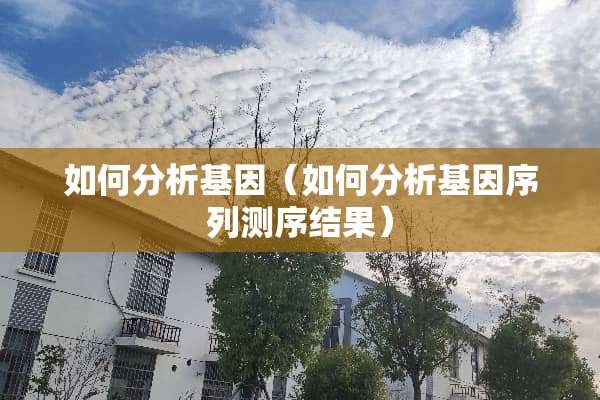 如何分析基因（如何分析基因序列测序结果）