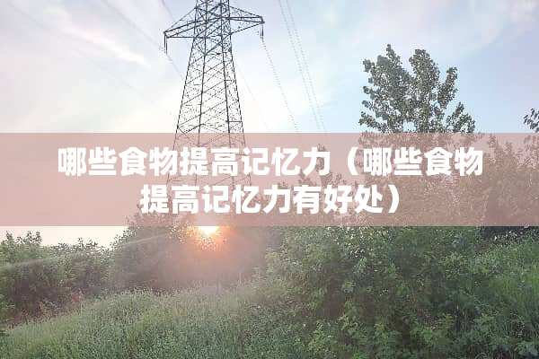 哪些食物提高记忆力（哪些食物提高记忆力有好处）
