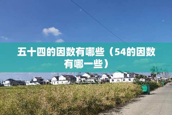 五十四的因数有哪些（54的因数有哪一些）