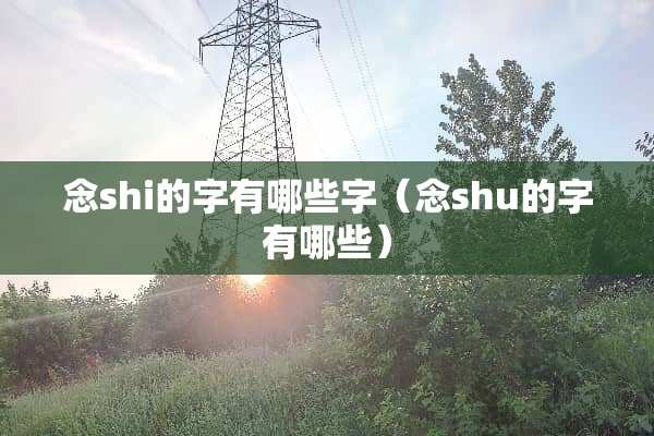 念shi的字有哪些字（念shu的字有哪些）
