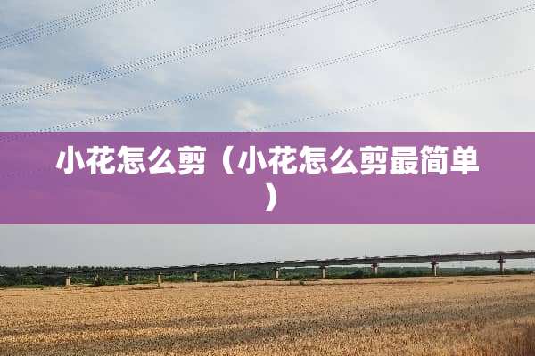 小花怎么剪（小花怎么剪最简单）