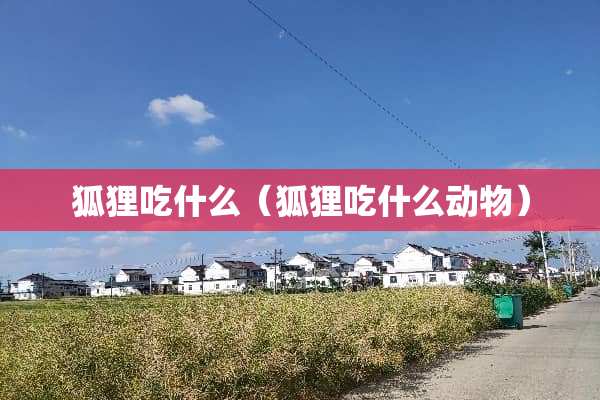 狐狸吃什么（狐狸吃什么动物）