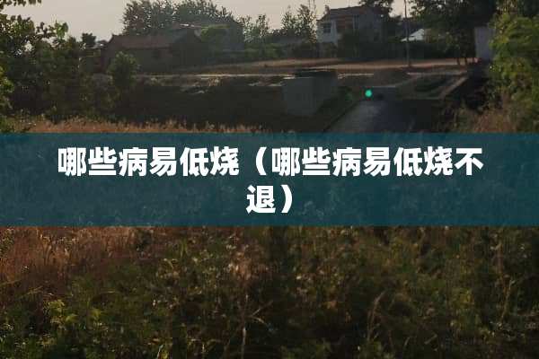 哪些病易低烧（哪些病易低烧不退）