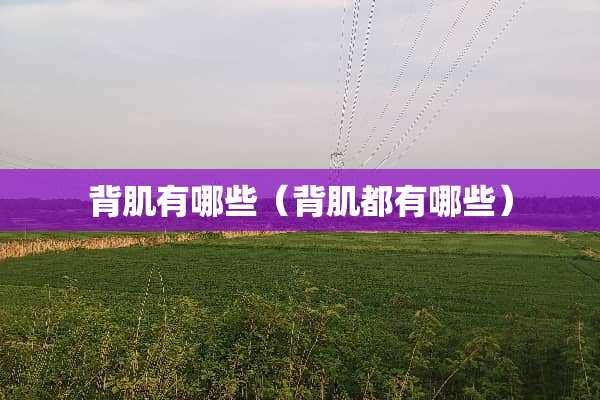 背肌有哪些（背肌都有哪些）