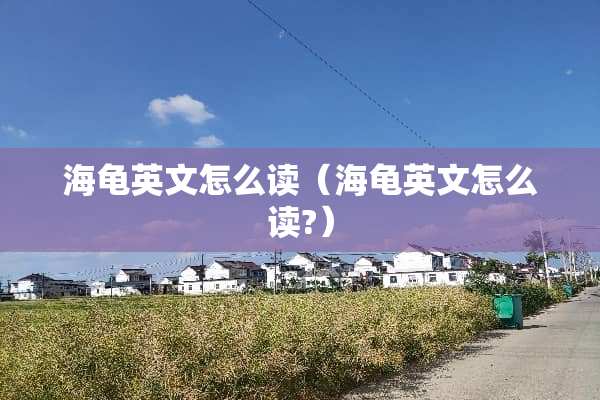 海龟英文怎么读（海龟英文怎么读?）