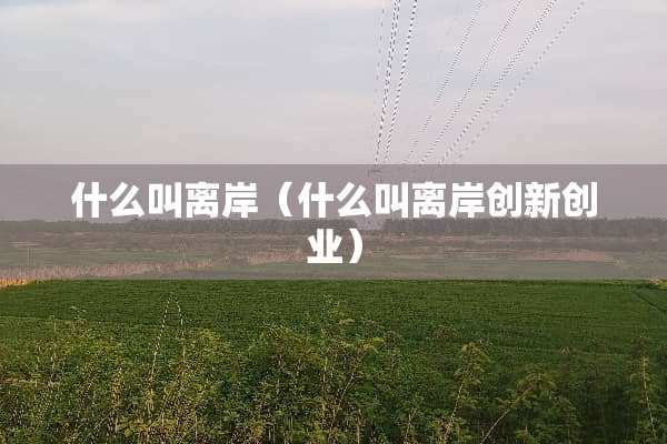 什么叫离岸（什么叫离岸创新创业）