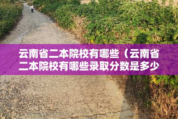 云南省二本院校有哪些（云南省二本院校有哪些录取分数是多少）