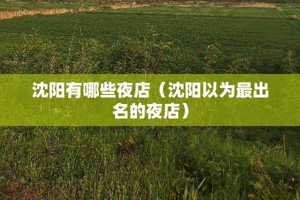 沈阳有哪些夜店（沈阳以为最出名的夜店）