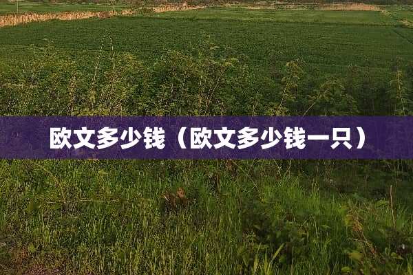 欧文多少钱（欧文多少钱一只）