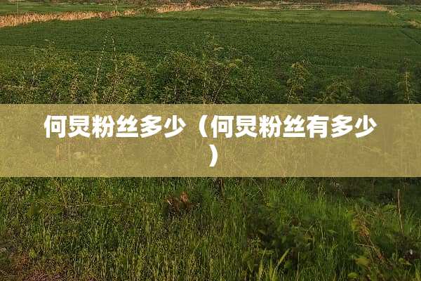 何炅粉丝多少（何炅粉丝有多少）