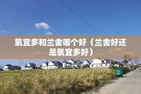 氧宜多和兰舍哪个好（兰舍好还是氧宜多好）